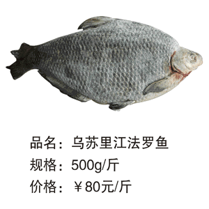 乌苏里江法罗鱼